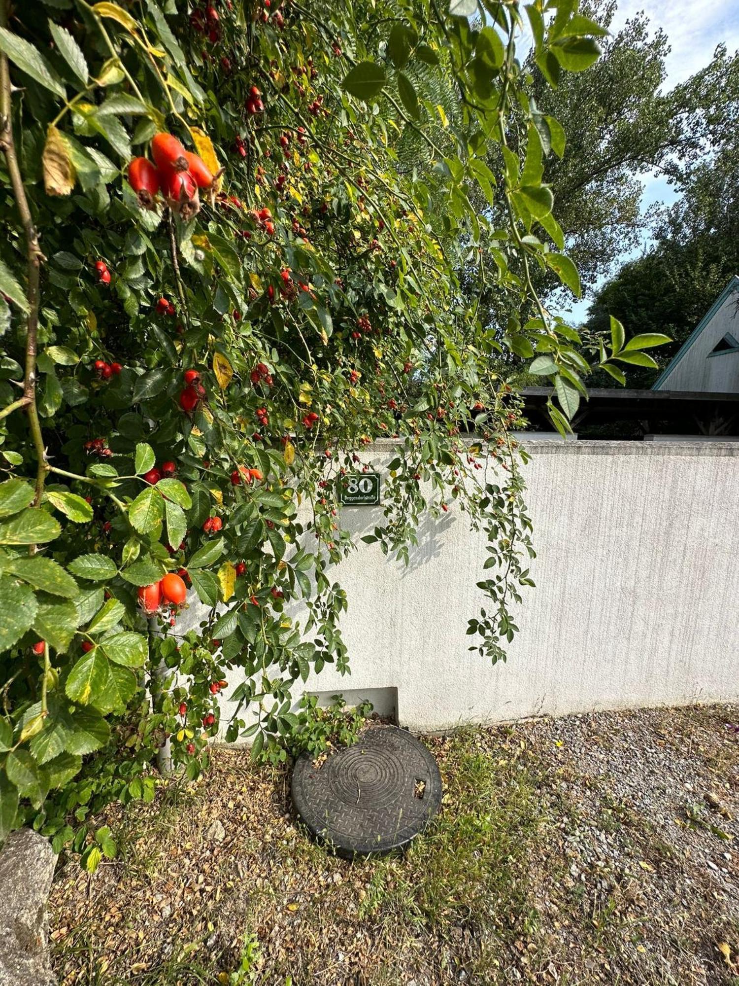 Haus Am See 滨湖新锡德尔 外观 照片